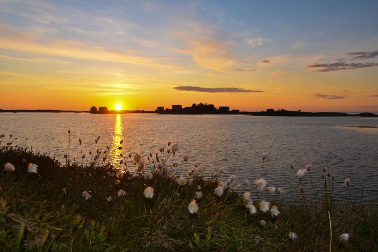 Bud Camping Zewnętrze zdjęcie